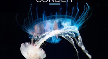Pavel Khvaleev - Sonder