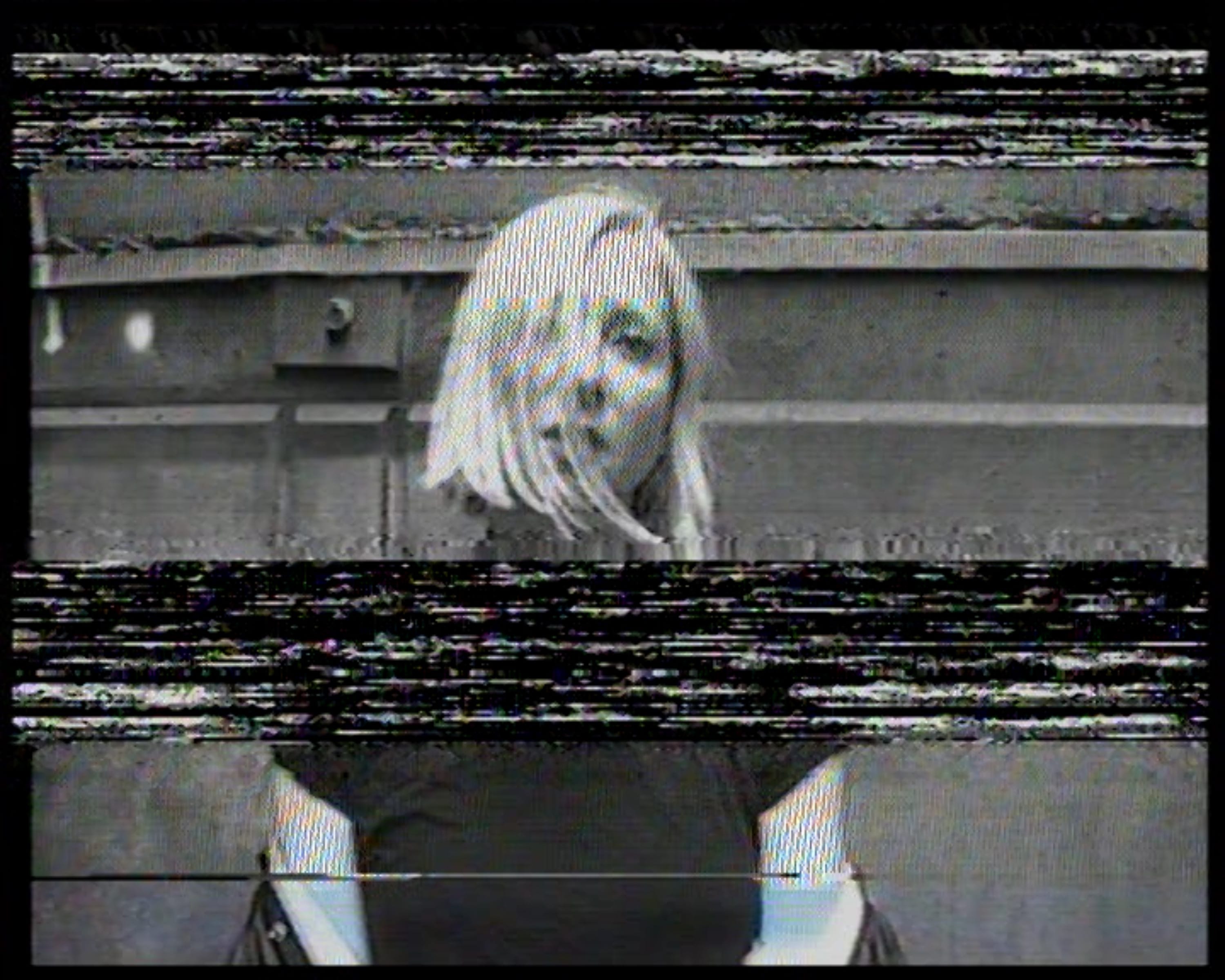 d971c6f0-1725-434e-9aec-74a903378c6f.jpg