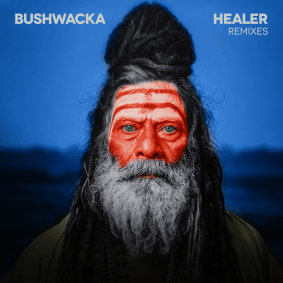 packshot_bushwacka_-_healer_remixes.png