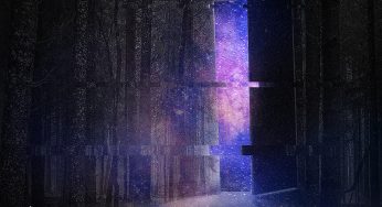 Sok O - Antin Hale