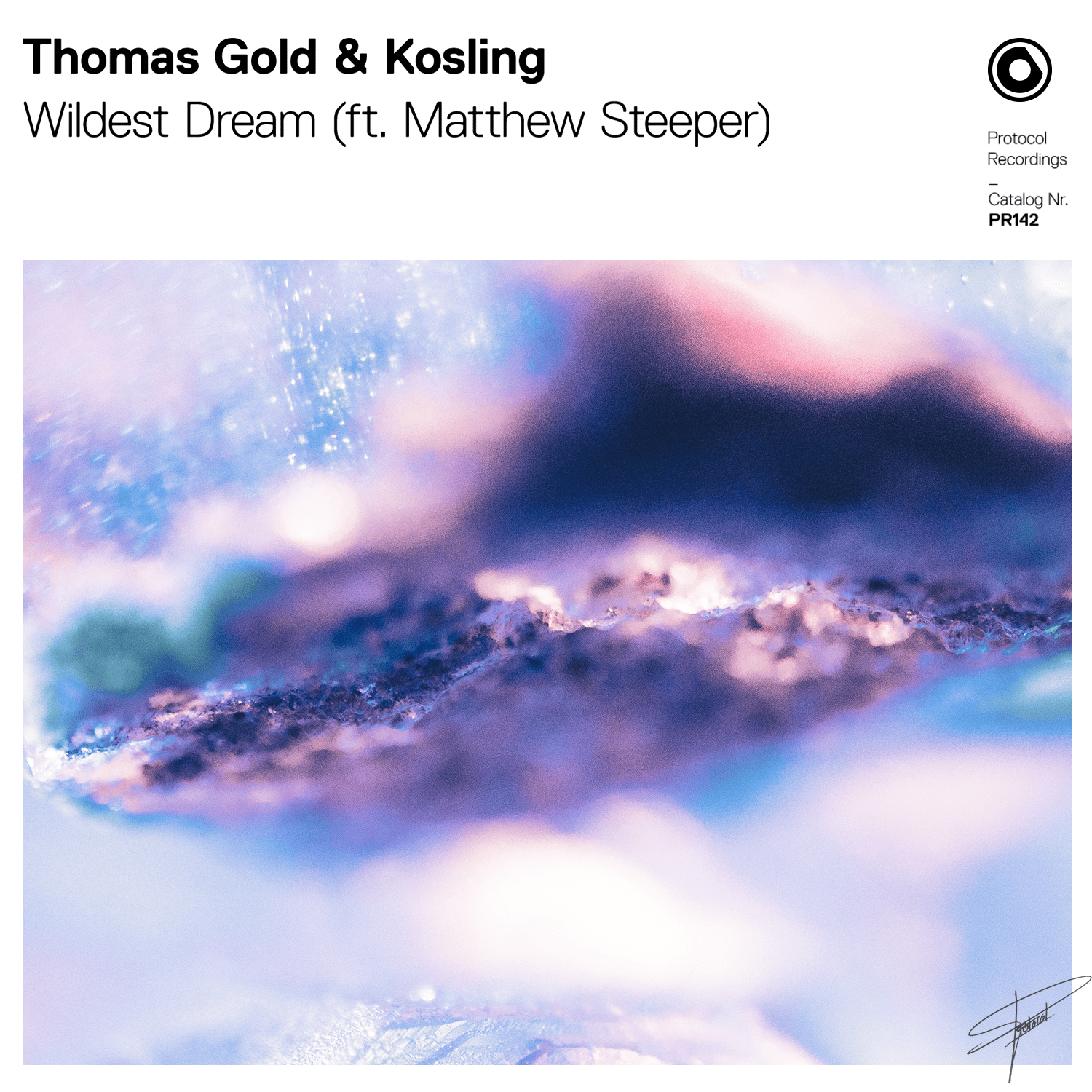 cover_thomas_gold_kosling_-_wildest_dream_ft._matthew_steeper.png