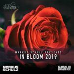 IN-BLOOM-COVER.jpg