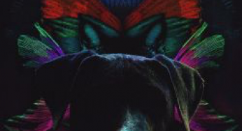 Linnea Dale & Of Norway – Pets Excerpts
