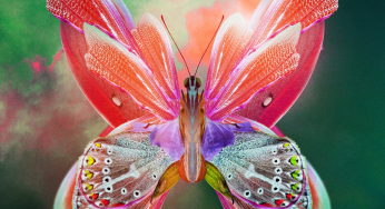 Tritonal release remix package for  “Little Bit of Love” featuring Rachel Patten