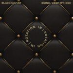 black-gold-quilted.jpg