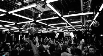 Analog New York Becomes Quantum With Series of Updates and Bold New Line-ups