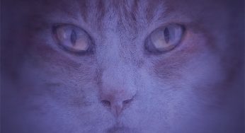 Ramiro Lopez is dropping a stunning new EP on Suara