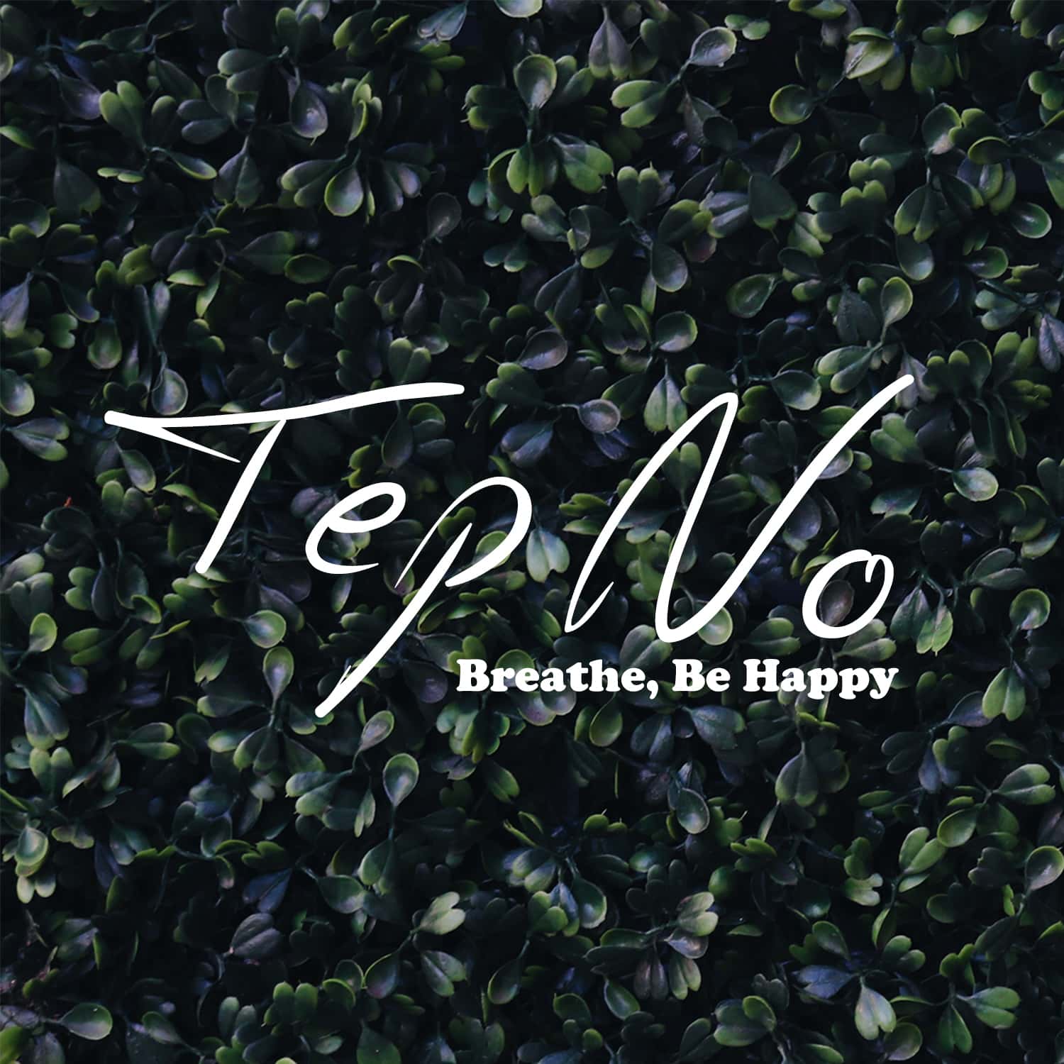 Tep No Reveals Atmospheric Single Breathe Be Happy Ihouseu Com Watch the video for toluca lake from tep no's toluca lake for free, and see the artwork, lyrics and similar artists. tep no reveals atmospheric single