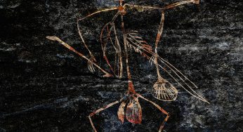 The fourth release on Música Cavernícola is signed by Pontias