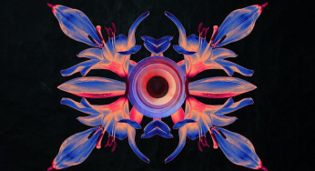 DJ Bluey Returns To His House Roots With Hypnotic New Single, ‘Wine It’