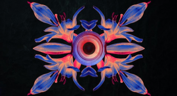 DJ Bluey Returns To His House Roots With Hypnotic New Single, ‘Wine It’