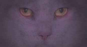 Italy’s abundant DJ/producer Frankyeffe continues fine form with debut Suara EP, ‘Hear Me’