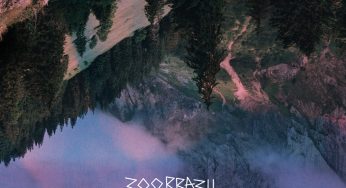 Zoo Brazil – For Sins And False Alarms