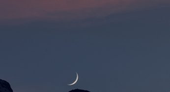 It’s time to fly to the Columba constellation for Nuta Cookier