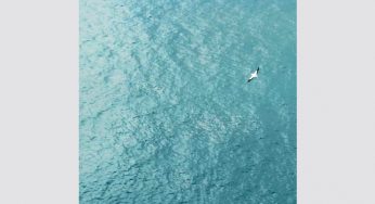 Italian duo Pongo drop new single ‘Freedom’