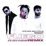 Cover-Steven-Malcom-Shaggy-Fuego-R3HAB-Remix.jpg