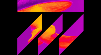 BEC Delivers Euphoric New EP ‘Psilocybin Therapy’