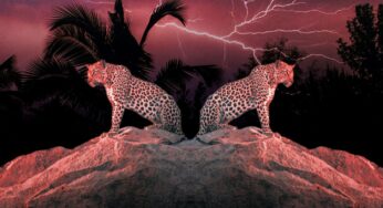 RAZ & AFLA drop feel good afrobeat gem ‘We Go Dance’