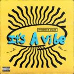 its-a-vibe-Cover-Art-RS-1.jpg