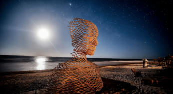Art With Me Presents: Dance With Me Tulum Festival