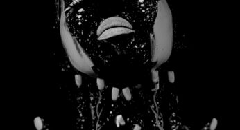 The Archer drops pounding club anthem on Octopus Recordings