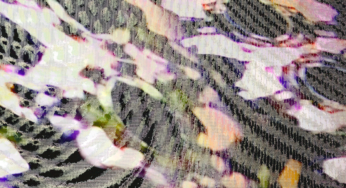 Darkroom Bureau presents Charlie Conway with his new “1107” EP
