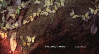 CATTANEO Teams Up With YOSIE to Share ‘Juno Fog’
