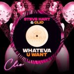 WHATEVAUWANT-sleeve-copy.jpg