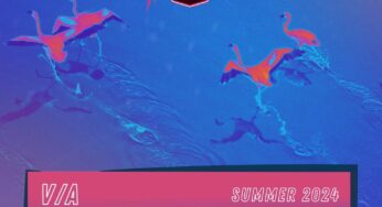 Family Piknik release Casa de Flamingos Summer 2024 Compilation
