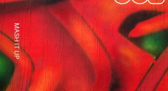Wolvo turns up the heat with ‘Mash It Up’