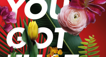 Retro Electro Meets Groovy Club Beats: Mojiito’s ‘You Got That’ and Raumakustik’s Remix