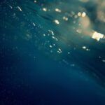 Underwater-artwork-1.jpg