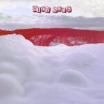 Bird-Song-Artwork2-min.jpg
