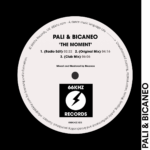 1-66KHZ-RECORDS-PALI-BICANEO-THE-MOMENT.png