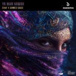 Ya-Man-Hawah-Sleeve-Art-copy.jpg